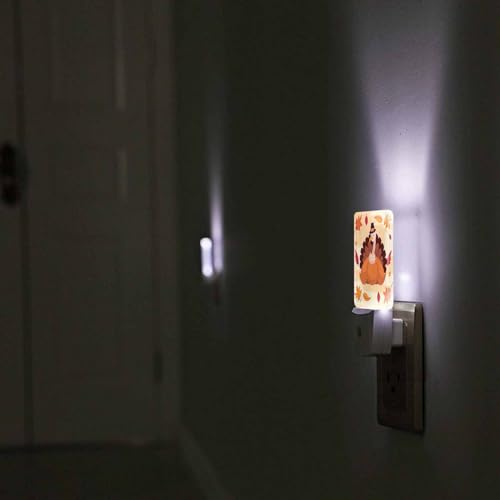 Image of LED Night Light Plug into Wall with Dusk to Dawn Light Sensor White Energy Efficient Thanksgiving Holliday Turkey Pumpkin Leaves Nightlight for Bedroom Bathroom Hallway Living Room Kitchen