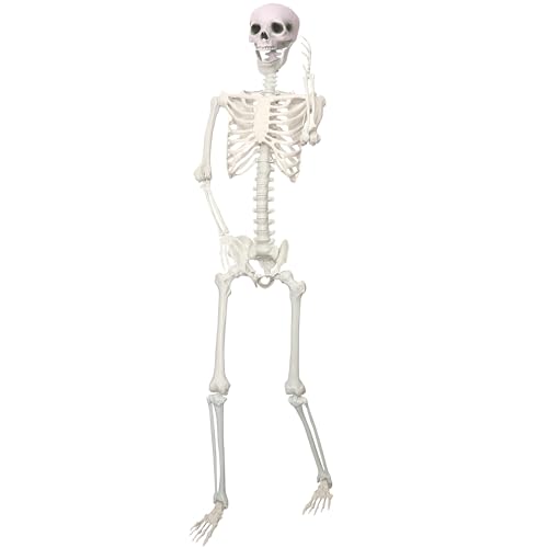 LOSFOTBO 5.9Ft/180cm Giant Skeleton Poseable Skeleton Realistic Full Body Bones for Halloween Decorations