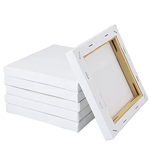 Leinwand 10 Teile/Satz 15 cm weiße Leere kunstbretter Mini gestreckt künstler leinwand kunstbrett acryl ölfarbe Holz +Baumwolle für Artwork malerei 977 (Color : White)