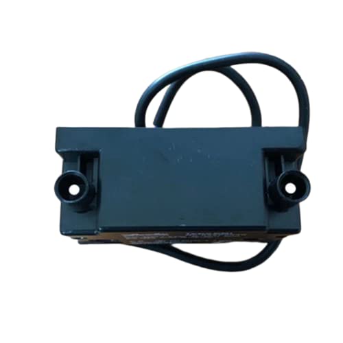 NUHFUFA Quemador comercial transformador de alto voltaje, encendedor de impulso, combustible de gas, accesorios especiales de quemador de transformador de alto voltaje (salida unipolar)
