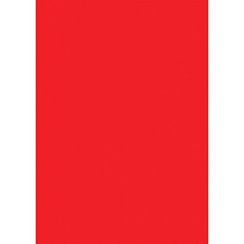 タカ印 ケイコーポスター 13-3181 厚口 A4判 赤