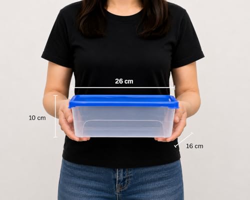 Image of Clear Storage Box (Pack of 2, Large) | 100% Virgin Plastic | Transparent, Stackable Organiser for Jewelry, Beads, Sewing,Medicines & More | Portable Design(Red /Blue /Yellow)