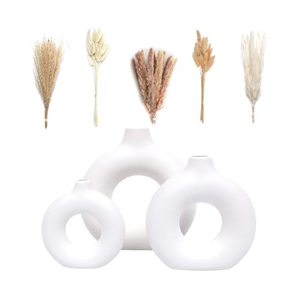 Set of 3 White Ceramic Vase with 65 PCS Dried Pamp...