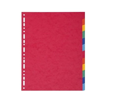 Exacompta paravento cartoncino smaltato XXL 12 posizioni ref. 2412E