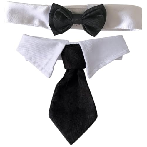 Collier nœud papillon chien et chat : lot de 2 accessoires de toilettage réglables pour animaux