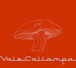 Vale Callampa [Audio CD] Cafe Tacuba