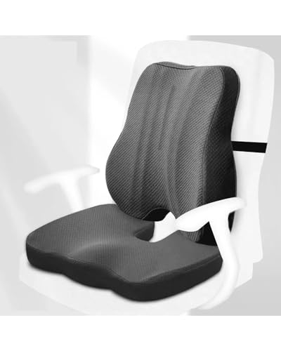  NbV  w Ԃ̍ItBX`FAwꍘ̒ɂ݋LیNbV`OȖ[tԂ̔wꍘ(Grey back and coccyx)