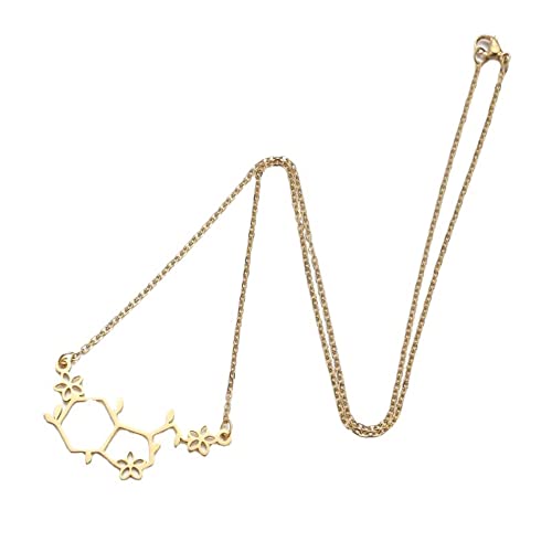 Stainless Steel Gold and Silver Plating Serotonin Molecule Pendant Necklace