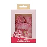 FunCakes