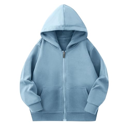 Kids' Fall Casual Hooded Sweatshirts Cute Zip Up Pockets Sweatshirt For Girls Comfy Fashion Pullover 2-12 Years2