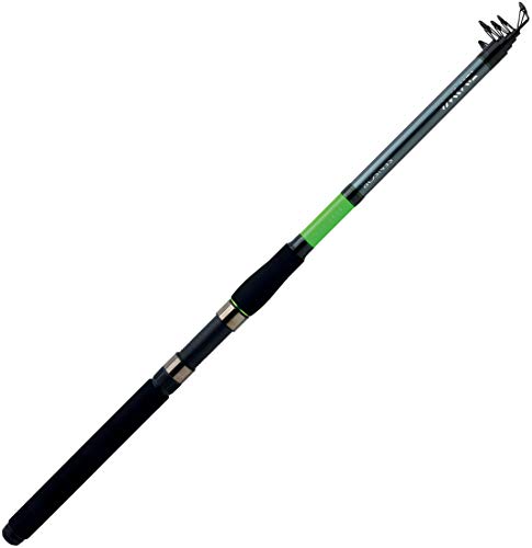 Canne Daiwa Sensor Boat 27 Te