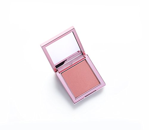 Christie Brinkley Authentic Beauty Cheek Chic Color and Contour Powder Blush, 0.3 oz (Thrill)