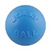 Jolly Pets Toys 881157 Jolly Bounce-N-Play Dog Toy, 4.5-Inch, Blueberry
