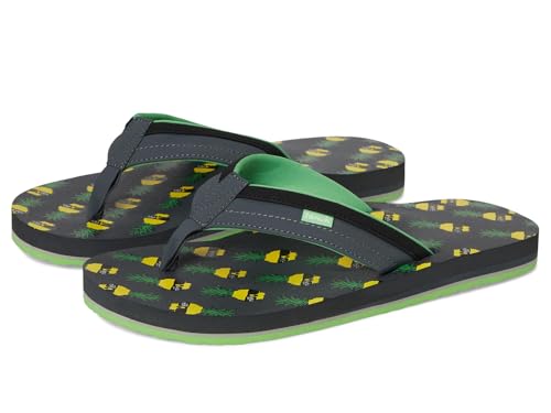 Sanuk Men's Ziggy X Ben Gravy Flip-Flop