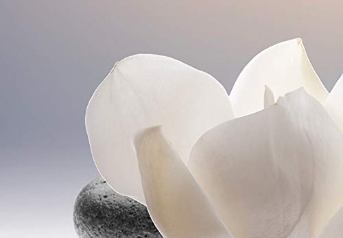 Artgeist Acoustic Canvas Wall Art Print Zen 35X24 In - 1Pcs Picture With Acoustic Foam Sound Print Artwork Room Acoustics Soundproofing - Flowers Stone Spa Wellness B-B-0095-B-A #TOP4