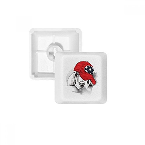 Touches Clavier Mécanique PBT Keycaps Chien Aquarelle Blanc Sans Marquage