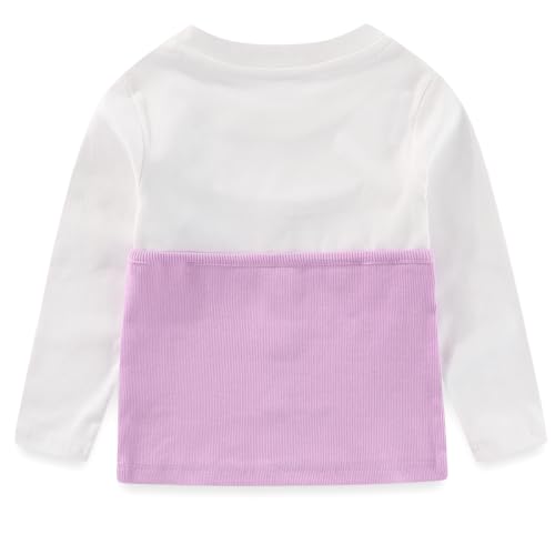 Image of Peacolate 2-7T Spring Fall Summer Little Girls 2pcs Clothing Set T Shirt and Jeans