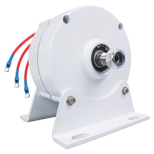 Generatore a magneti permanenti 600W, 12v,24v,48v alternatore Elettrico NdFeB a