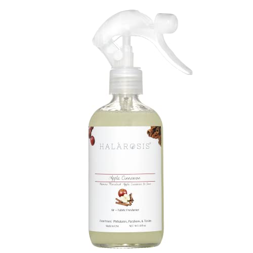 10 Best Car Air Freshener For Smokers in 2024 Top Brands Review