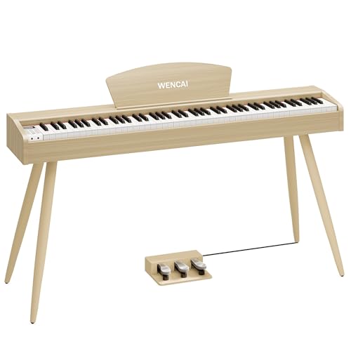 WENCAI dqsAm 88 n}[ANbV ؐfUC S q KsAm MIDI[qΉ 3{y_ X^h A_v^[t {