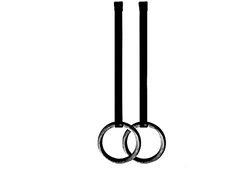 COUGAR Suspension Gymnastic Rings, Olympic Gym Rings with Heavy Duty Adjustable Straps for Gym, Cross Training, Strength Training, Pull Ups and Dips for Men/Women (B077BBV38T) Amazon Price History, Amazon Price Tracker