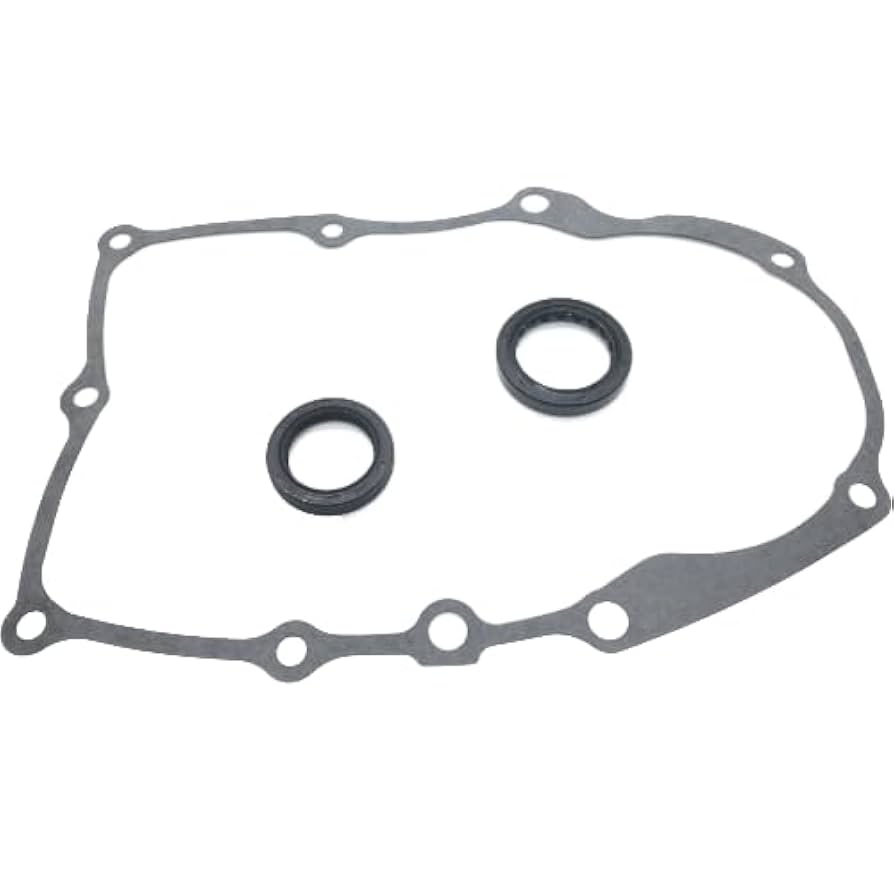 Amazon.com: REPLACEMENTKITS.COM Magneto PTO Oil Seal