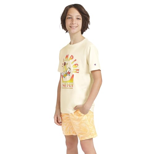 Image of Champion Boys 2 Piece Short Sleeve Shirt and Mesh Shorts Sets
