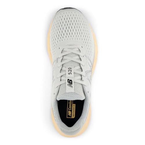 Image of New Balance Women's 520 V8 Shoes