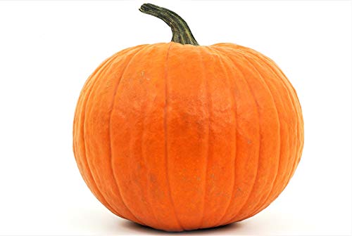 Giant Pumpkin Seeds for Planting