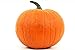 Giant Pumpkin Seeds for Planting