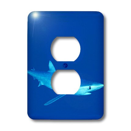 Blue Shark plaque de prise murale thème océan pour sublimer une décoration de chambre ou bureau