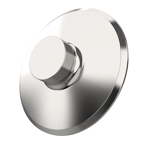 Preffair Record Weight Stabilizer, Aluminum 4.2oz Turntable LP Vinyl Disc Stabilizer with Protective Soft Pad Vibration Reducer for HiFi LP Record Player Vinyl Disc Accessories (Silver)