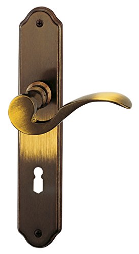 Poignée de porte Alpertec 32210740 sur grande plaque de propreté intérieure