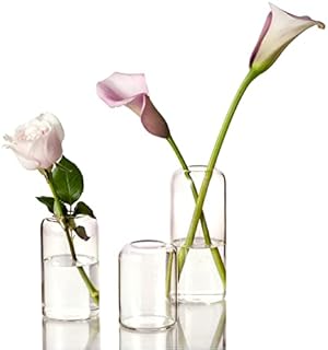 ZENS Glass Bud Vase Set of 3, Clear Small Flower Vase for Home Decor Centerpieces , Hand Blown Borosilicate Cylinder Chic Glass Vase for Wedding Events, Living Room Decorative.