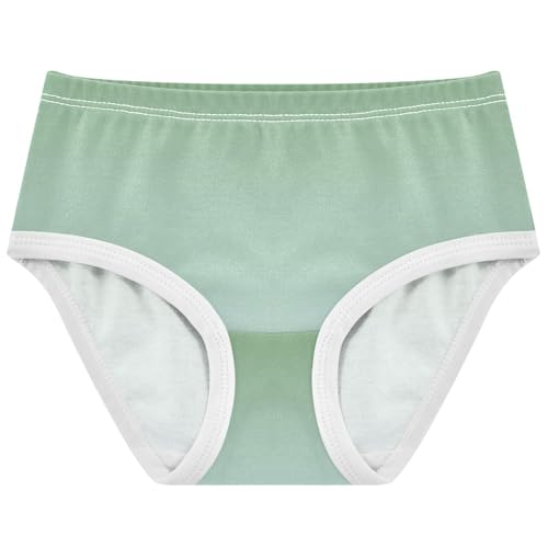 Joisal Artistic Girls Underwear Toddlers 2t Cotton Panties for Girl Dinosaur Green Pale Blue Gradient Briefs Underpants