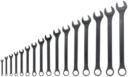 Neiko 03574A Jumbo Combination Wrench Set | 16 Piece | SAE | 1/4” to 1-1/4” | Raised Panel Construction