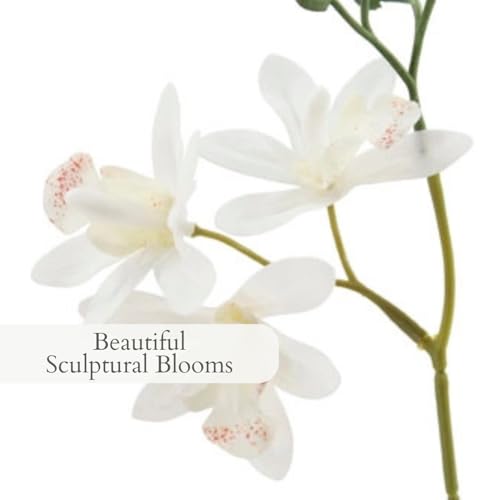 Image of CG Hunter Faux Vanda Orchid Plant, Premium Artificial Indoor Flower Display Stands 20.5 inch, Beautiful Sculptural Blooms that Lasts Forever, White Planter Pot Included