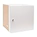 IKEA KALLAX - Insert with door, white - 33x33 cm by Ikea