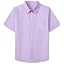 Lilac Purple