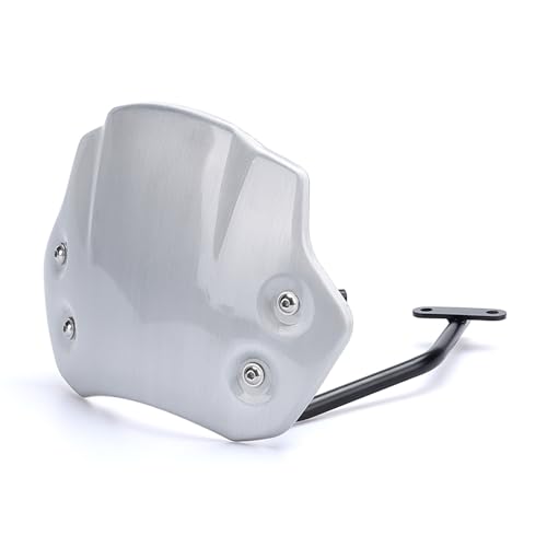 Déflecteur vent pour BMW R9T Scrambler et carénage de phare avant moto