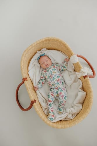 Image of Copper Pearl Zip-Up Footie Baby Pajamas - Soft Newborn Onesies for Boys & Girls, Tag-Free with Two-Way Zipper Baby Sleepers for Newborn - 24 Months, Dinosaurs of Jurassic Park