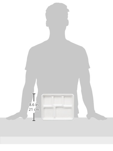 Amazon Basics Compostable 5-Compartment Food Trays, Pack of 250