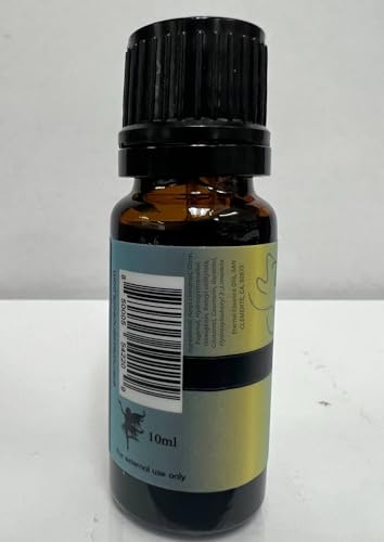 Image of Summer Boardwalk - Premium Grade Fragrance Oils - 10ml - Scented Oil
