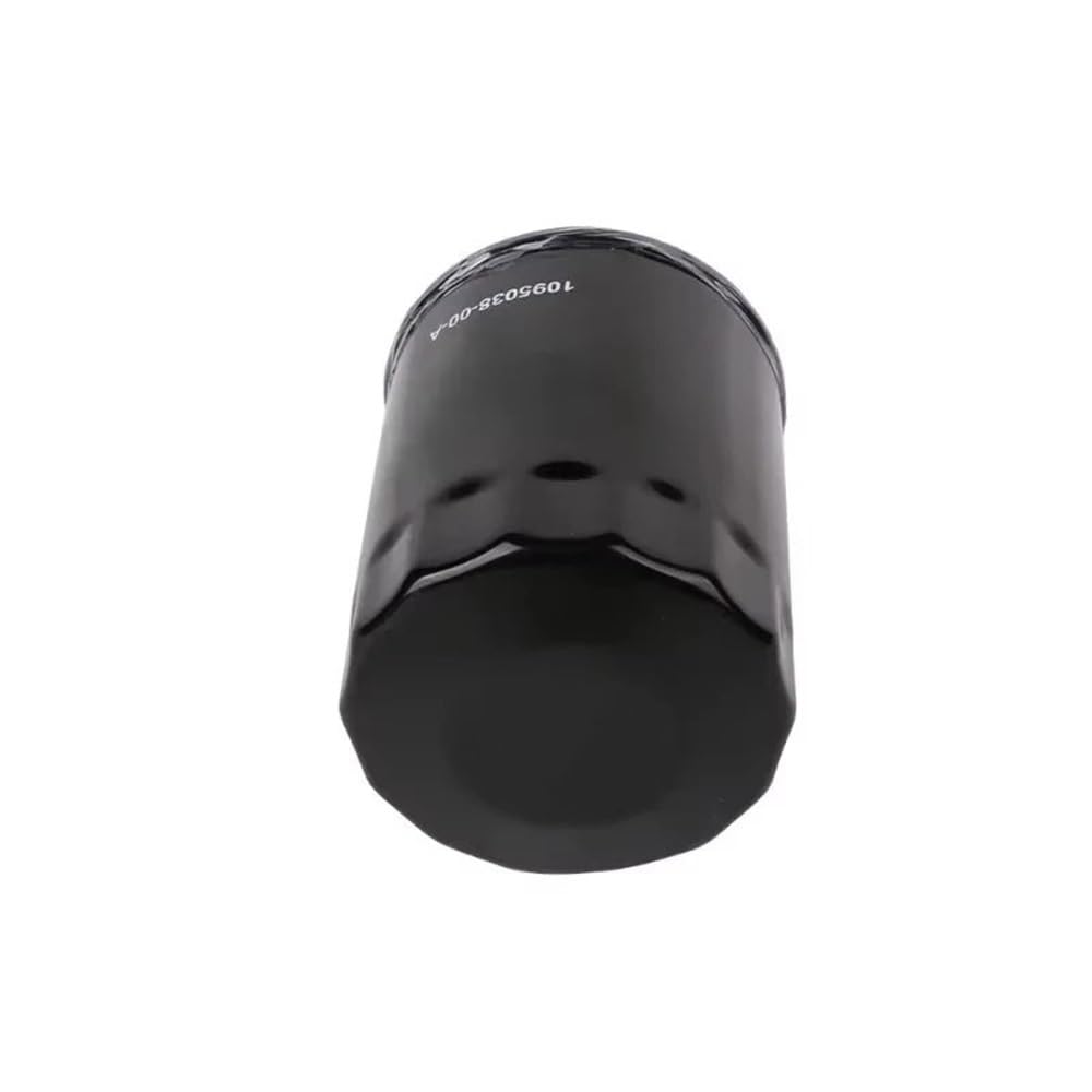 Filtro Dell'olio Filtro Olio Per Trasmissione Anteriore O Posteriore Dell'auto Per 109503800A Per 1095038-00-A Per Modello 3 16-21 Per S/X Per Y