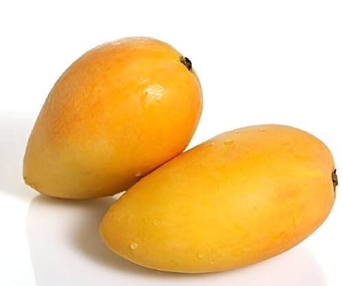 Image of Testy & Delicious Frash Green''Katimon Mango Fruit'' Tree Grafted Plant || For Home Garden Outdoor & Indoor plant.