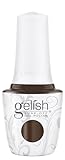 Gelish Fall In Frame Collection – 15mL TPO-Free, Long-Lasting, Vibrant Color, Professional Quality, High Shine, Chip-Resistant (Artwork In Progress)