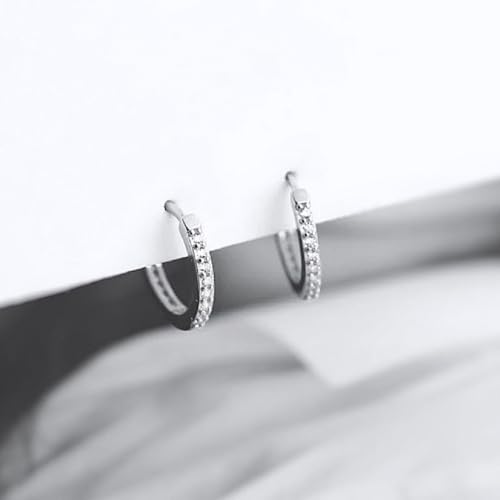 025P t[vsAX SV a13mm CXg[ Vv