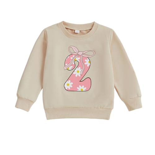 Bagilaanoe Toddler Baby Girl Birthday Outfit 1/2/3/4/5 Year Old Birthday Long Sleeve Sweatshirt Pullover Shirt Top