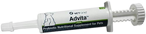 Probiótico em Pasta Vet One Advita para Cães e Gatos, Sabor Carne, 15 g