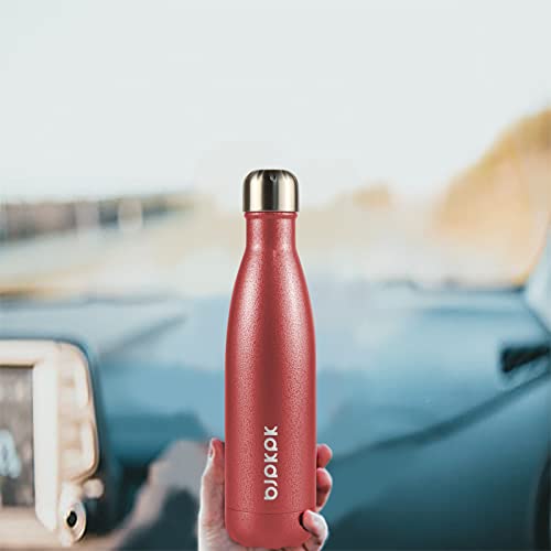 Image of BJPKPK Insulated Water Bottles 17oz, Leak Proof Stainless Steel Water Bottle keeps Cold for 24H and Hot for 12H, BPA Free Kids Water Bottle-Lake Blue (Pack of 2)